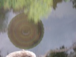 blurryreflectionsmall